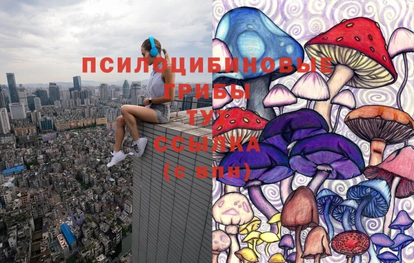 spice Инсар