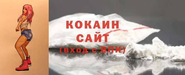 spice Инсар