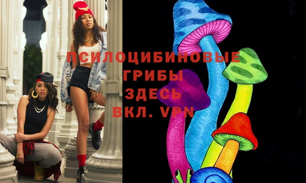 spice Инсар