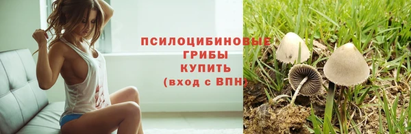 герыч Зеленокумск