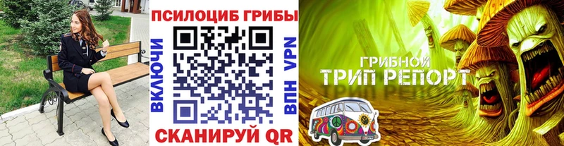 Псилоцибиновые грибы Cubensis  Купить где  Можайск 